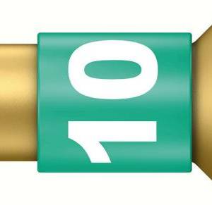 867/1 BDC TORX® бита торсионная, алмаз, 1/4" C6.3, TX 10 x 25 мм