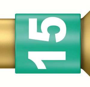 867/1 BDC TORX® бита торсионная, алмаз, 1/4" C6.3, TX 15 x 25 мм